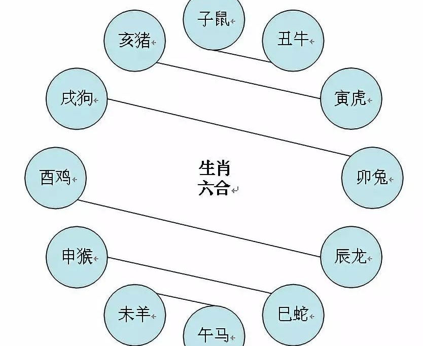 天上九九合八来打一正确生肖，构建解答解释落实_srz30.90.36