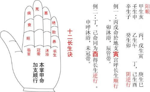 法本耳目，掌本面目 是什么生肖，详细解答解释落实_dpm05.96.87