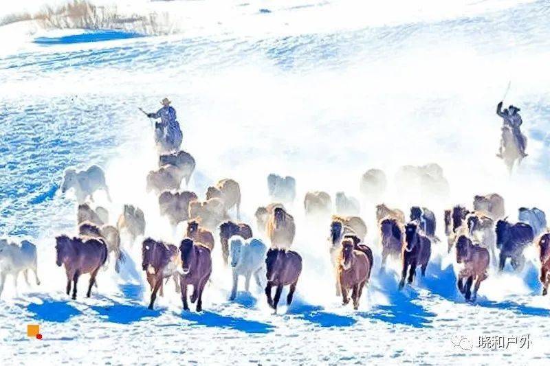 雪拥路滑成灾殃，披褂上阵尚维艰 是什么生肖，深度解答解释落实_o317.56.56