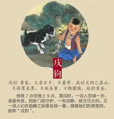 兼采百家耳目聪是什么生肖，综合解答解释落实_ve36.06.35