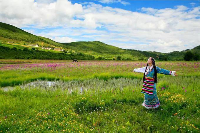 两后草原水昊昊，满目牛羊青草地，全面解答解释落实_w767.29.19