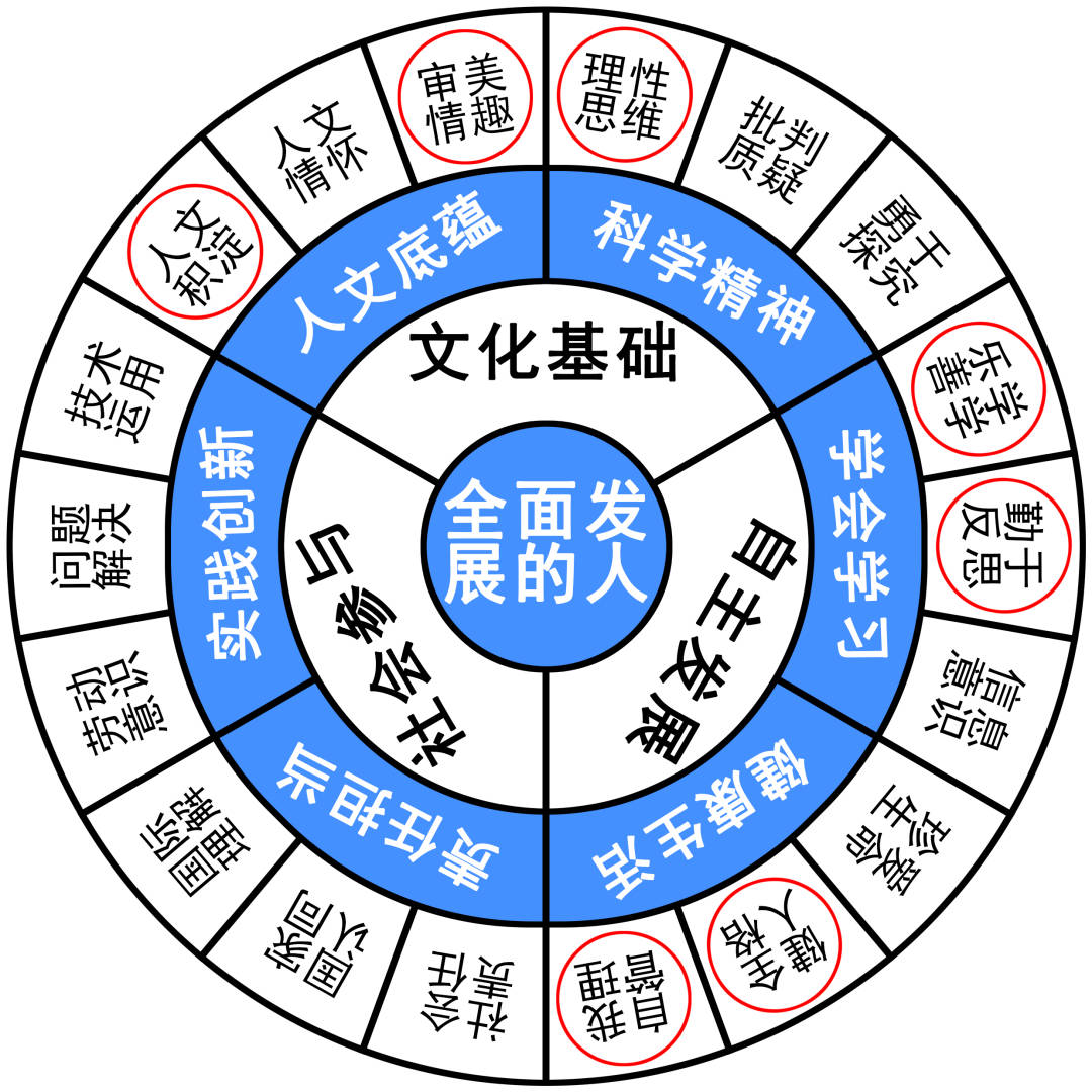 五合八数单数现。打一生肖动物，构建解答解释落实_u103.94.16