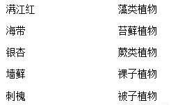 鄢郢翻七八扫荡。打一生肖动物，实时解答解释落实_ym81.21.04