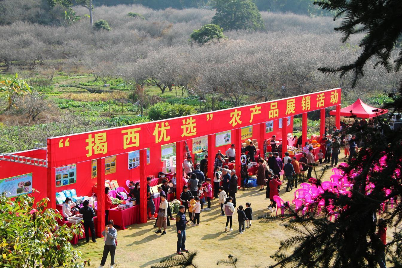 闻道梅花坼晓风，雪堆遍满四山中，何方可化身千亿，一树梅花一放翁。打一生肖动物，定量解答解释落实_mn78.71.27