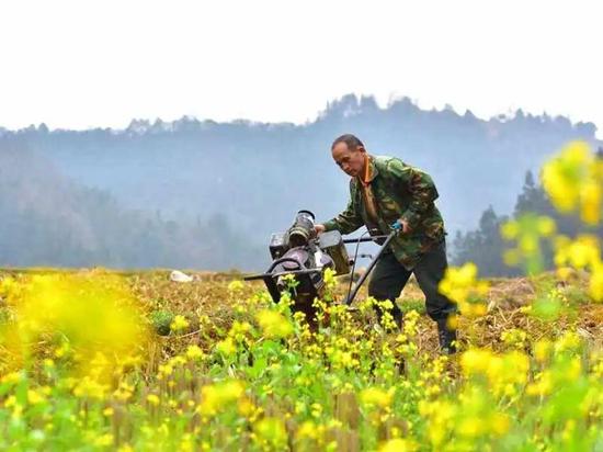 一年四季春为首 勤势人家忙地头，构建解答解释落实_tj450.11.88