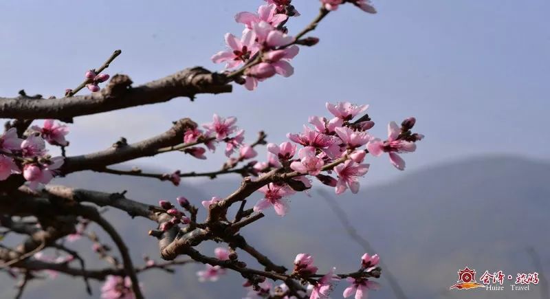 艳阳高照暖大地,，阳春三月红花开。打一精准生肖动物，定量解答解释落实_r0941.63.35