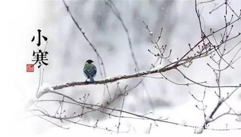 小雨淅沥冬 风中伊人依是什么生肖，科学解答解释落实_ou29.44.98