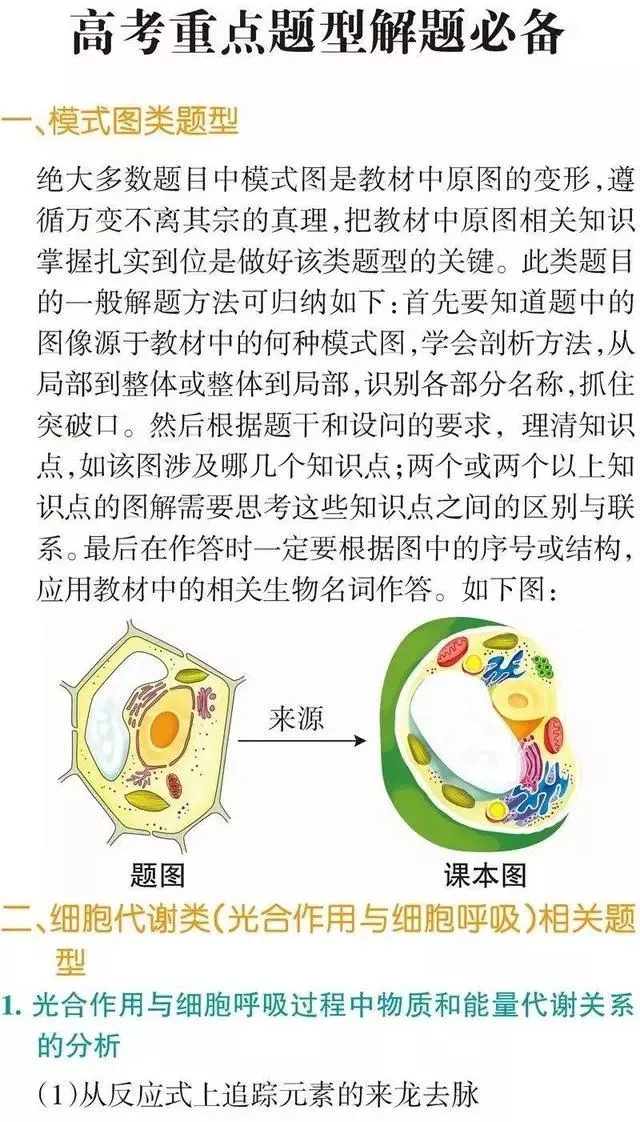 水来土掩。打一生肖动物，构建解答解释落实_5b248.29.06