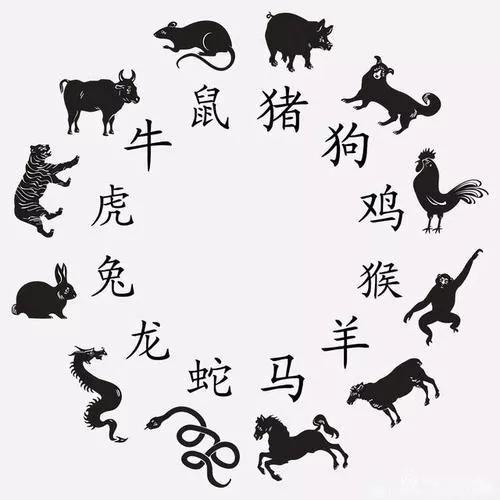 一人得道鸡犬升，虎虎生威自成神.打一精准生肖动物，专家解答解释落实_9635.78.50