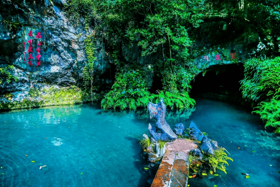 风和日丽天气好,绿水长流景壮观打一动物，构建解答解释落实_zix46.52.86