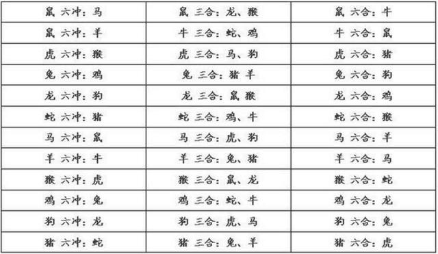 虎猪6合在地支 一恶来一无势是什么生肖，统计解答解释落实_zv487.42.05