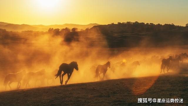 一马平川好前程艳阳高照暖大地最佳生肖，综合解答解释落实_qz09.65.43