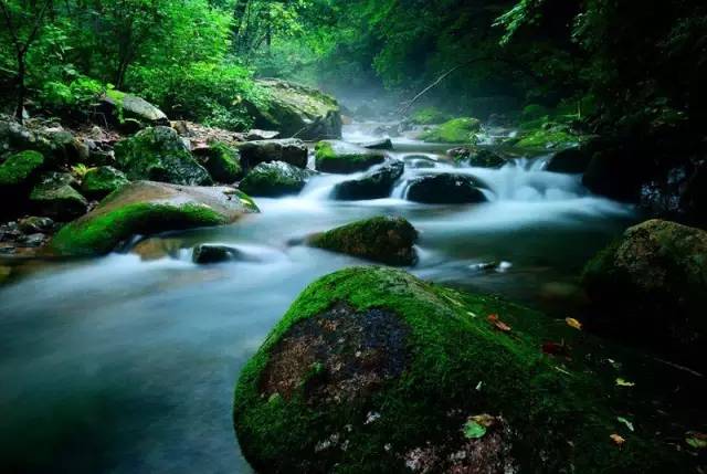 风和日丽天气好,绿水长流景壮观打一动物，前沿解答解释落实_4u46.10.04