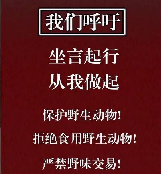 滴水不漏口风紧,一诺千金值万两是什么动物，实证解答解释落实_smt39.50.94