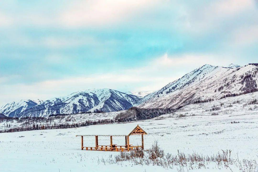 高山绿绿伴点雪村外学校红旗飘是什么生肖，深度解答解释落实_lj976.30.65