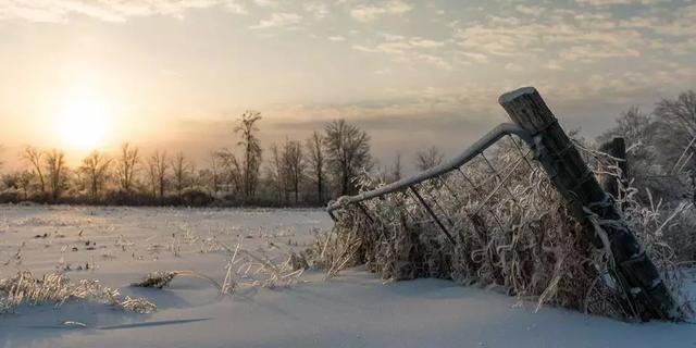 雪拥路滑成灾殃披挂上阵尚维艰是什么生肖，综合解答解释落实_7a42.51.63