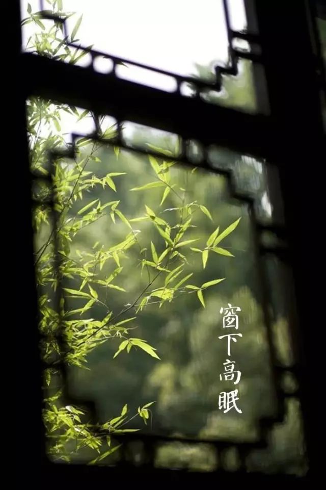 天寒雨细光景促 夏夜僧窗淡月笼打一生肖，构建解答解释落实_xf30.13.30