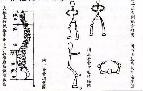 立定脚跟撑起脊。打一精准生肖动物，科学解答解释落实_hnj09.53.77