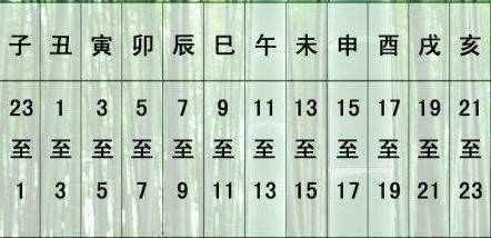 五百年前一家人八路来料两吉利打一生肖，实时解答解释落实_0k304.69.99