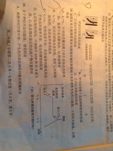 侍郎作歌，系其后。打一精准生肖动物，构建解答解释落实_u4i12.66.07